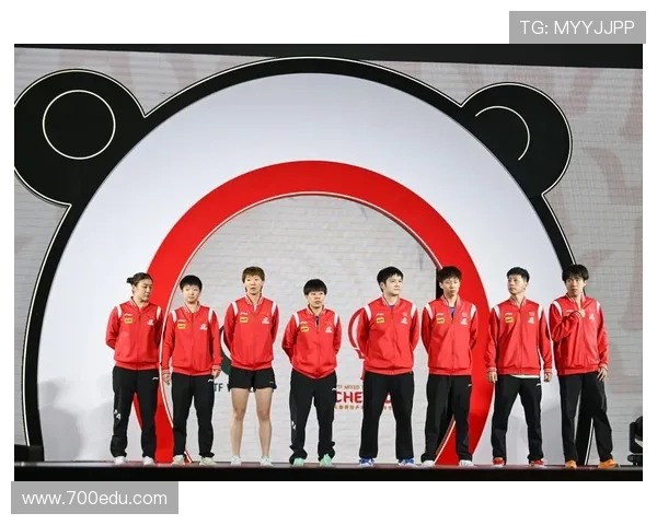 乒乓球的魅力与团队精神南京乒乓球队协作之道深度解析